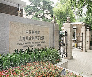 上海生命科学研究院校园美景