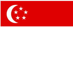 新加坡留学签证申请流程